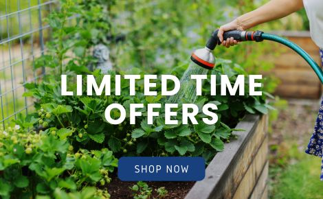 Limited Time Offers