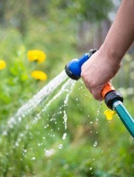 Watering